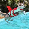 CITÉTOILE Life Jacket Dog Shark, Lightweight and Safe for Water