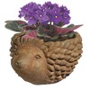 Classic Home and Garden 9/3431R/1 Hedgehog Planter, Small, Rust