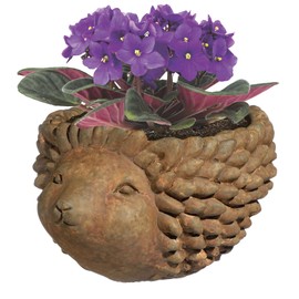 Classic Home and Garden 9/3431R/1 Hedgehog Planter, Small, Rust