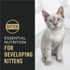 Purina Pro Plan Kitten Dry Food Complete Essentials Chicken and