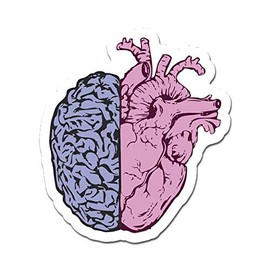 MightySkins Heart Brain Peel and Stick Art Removable Cute Stylish Funny Cartoon Dorm Room Decor Vinyl Wall Decals Sticker, 36" On Its Longest Side