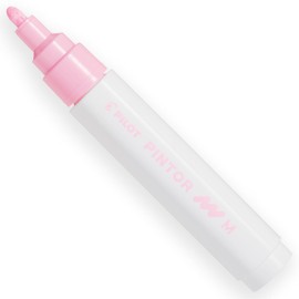 Pilot Pintor Creative Multi-Surface Water-Based Permanent Marker Pens - Quick Dry - For Fabrics, Glass, Wood, Stone, DIY/Amateur Artists - Medium Nib - Pack of 8 Pens - Pastel Set