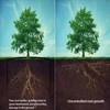 15ft x 18in x 60mil Tree Root Barrier -Protect Sidewalks
