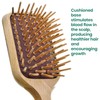 Giorgio Wooden Bristle Paddle Hairbrush, Set Detangling Cushion Brush for