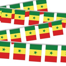 32FT Senegal Pennant Small Flag Bunting,30 PCS Senegalese Mini String Banner Stripes Decor for Holiday Restaurant Home Party School