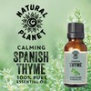 Natural Planet Spanish Thyme Essential Oil 15ML Natural 100% Pure