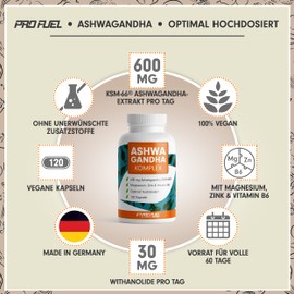 Ashwagandha Kapseln hochdosiert 240x - 600 mg Ashwagandha KSM-66® pro Tag - Ashwagandha Komplex mit Magnesium, Zink & Vitamin B6 - ohne unerwünschte Zusatzstoffe - laborgeprüft - 100% vegan