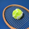 Furry Tennis Ball Keychain (Green)