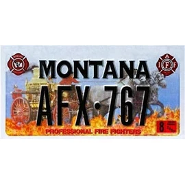 OPO 10 - USA car LICENSE PLATE - replica metal: MONTANA (N29)