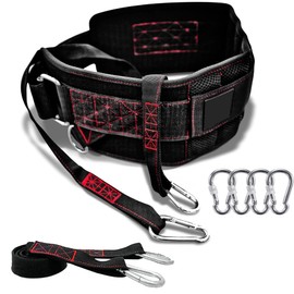 FourRoar Weight belt for additional weight with 2 ropes of 100 cm and 4 carabiners, pull-up belt up to 250 kg, belt for weights, one size fits all