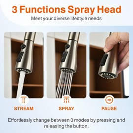 Kitchen Faucet, Kitchen Sink Faucet, Sink Faucet, Pull-Down Kitchen Faucets, Free Water Filter Included, Brushed Nickel, RULIA PB1020