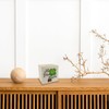 Ladybird Wooden Money Box with Saying "Deine extra Portion Glück