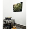 The Plum Penguin Oregano Essence Abstract Macro Wall Art, Dual