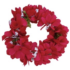 Rainview Creations Women Teen Girls Floral Headband Hawaiian Plumeria Flower Haku elastic Leis