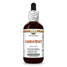 Caraway (Carum Carvi) Dry Fruit Glycerite, Made in Hawaii, Organic Raw Materials, All Natural, Vegan, Lab Tested Alcohol-Free Liquid Extract - 2 fl.oz