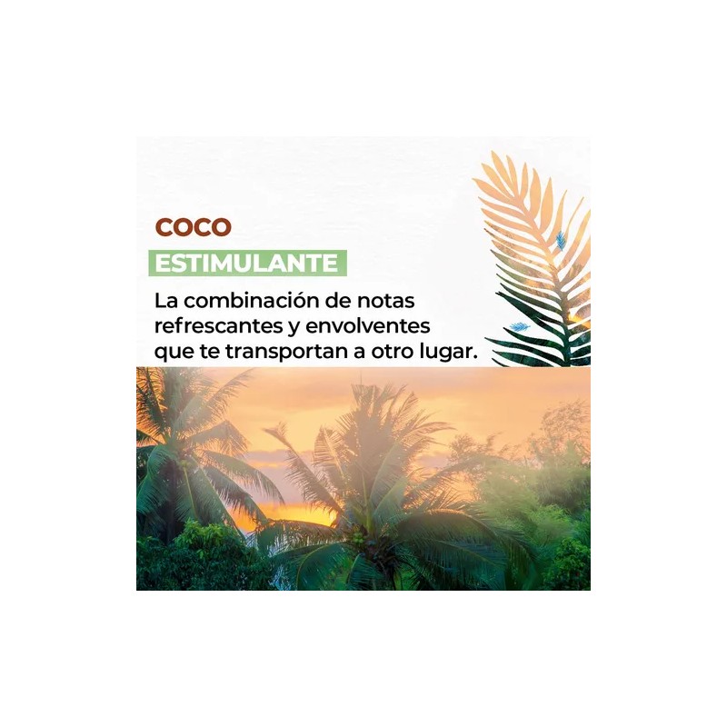 Yves Rocher Kit De Cremas Corporales De Coco