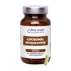 Blue Ocean Supplements Blue Ocean Supplements C Shiitake C World's