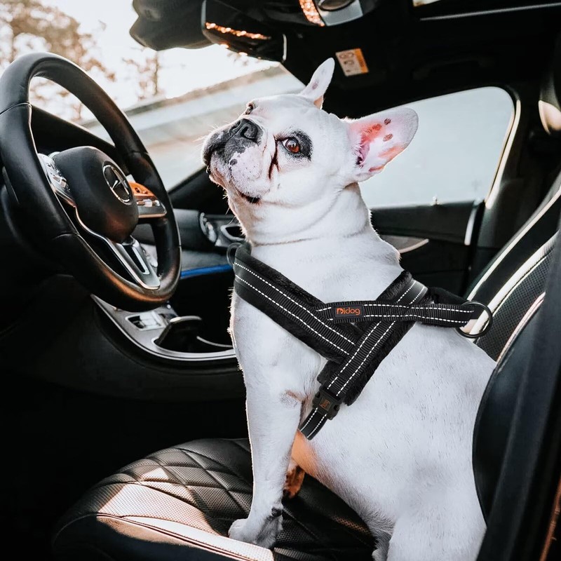 Didog Soft Flannel Padded Dog Vest Harness, No Pull/Quick Fit