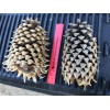 Unbranded 2 Extra Large Pine Cones Christmas Tree Holiday Decorations