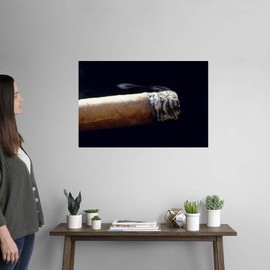 CANVAS ON DEMAND Burning Cigar Wall Decal, Photography Artwork