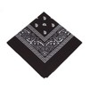 Boolavard 100% Cotton Bandanas with Original Paisley Pattern | Colour