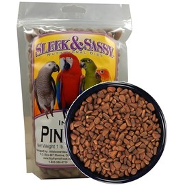 SLEEK & SASSY in-Shell Pine Nuts for Birds (16 oz.)