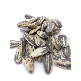Salt and Balsamic Vinegar Flavored Sunflower Seeds - 3 Pack - Seasoned and Roasted in Shell for a Bold Taste - 24 total oz.