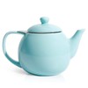 Sweese Teapot, Porcelain Tea Pot with Stainless Steel Infuser, Blooming