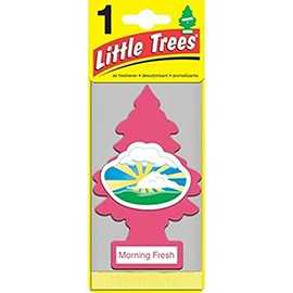 LITTLE TREES Car Air Freshener | Hanging Paper Tree for Home or Car | Morning Fresh