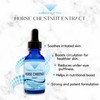Absonutrix Horse Chestnut Extract 550 mg 4 Oz Drops, 200