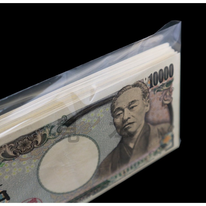 (100 Sheets) Bills and Bill Bill Bags - Transparent Cash