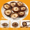 SZMHYZ Dried Shiitake Mushrooms Whole– All-Natural, No Sulfur, Easy Rehydrate,