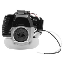 LIAPDG 49CC Engine Motor, 2 Stroke Engine Single Cylinder Air Cooling Motor of Gas Scooters, Pocket Bikes, and Mini Choppers Configured Pull Start Maximum Power 0.9/6500Kw/R/Min