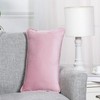 Home Beyond & HB design 2-Pack Velvet Throw Pillow Covers,