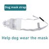 Canine Nebulizer and Inhaler Mask for Cats and Dogs, Oxygen