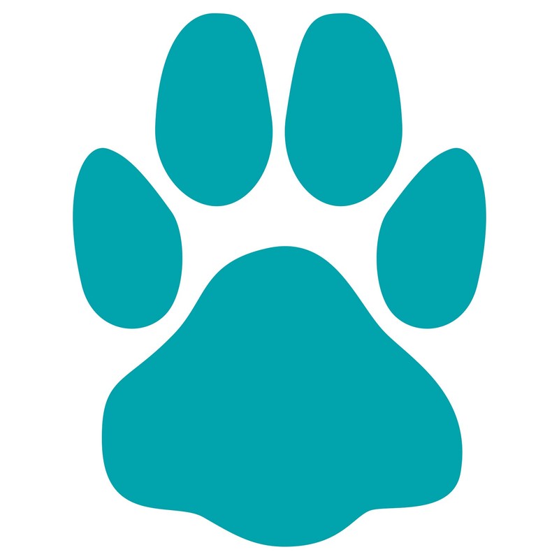 Huch & Friends 880598 Dog Pile Logic Game, Multi-Coloured