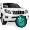 MIYASANG Glass Dragonfly Spare Tire Cover Fantasy Green Patches of