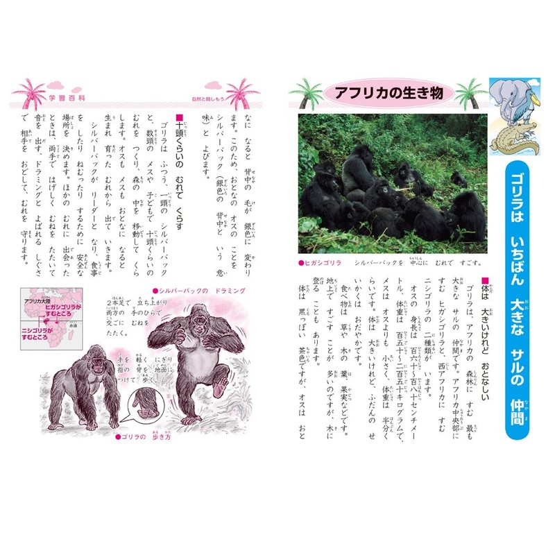 Showa Notebook Japonica JL-8 Learning Book, B5 Size, 10 Grid