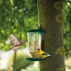 AIMALL Transparent Plastic Automatic Bird Feeder – Creative Hanging Feeder