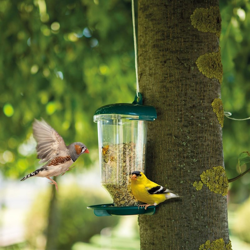 AIMALL Transparent Plastic Automatic Bird Feeder – Creative Hanging Feeder
