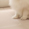 Fitpet Bundle Set Nyang쌤 Cat Litter Mat Sand Tracking Prevention