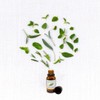 GreenHealth Clove Leaf Essential Oil 100% Pure - 4oz