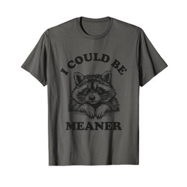 I Could Be Meaner Vintage Sarcastic Humor Funny Raccoon T-Shirt