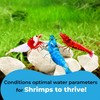 JOR 2 oz Hermit Crab Rocks, Natural Calcium Stones for