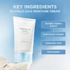 Skin1004 Madagascar Centella Hyalu Cica Moisture Cream 75ml
