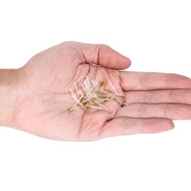 VGEBY 50Pcs Float Waggler Adaptors, Quick Change Fishing Swivels with Tube Floats Adapters Accessories(S)