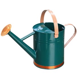 yourjoy Metal Watering Can, One Gallon Watering Cans Stainless Steel for Outdoor Indoor Garden Plants Watering (One Gallon Green Decorative Strip)