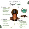 OLEUM VITAE Aceite Esencial de Clavo Eugenia Caryophyllus 100% Puro