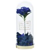 Champ de Fleur OB-EGN-6-2 Bath Salt, Tea Scent, Charmammoin Raffi,