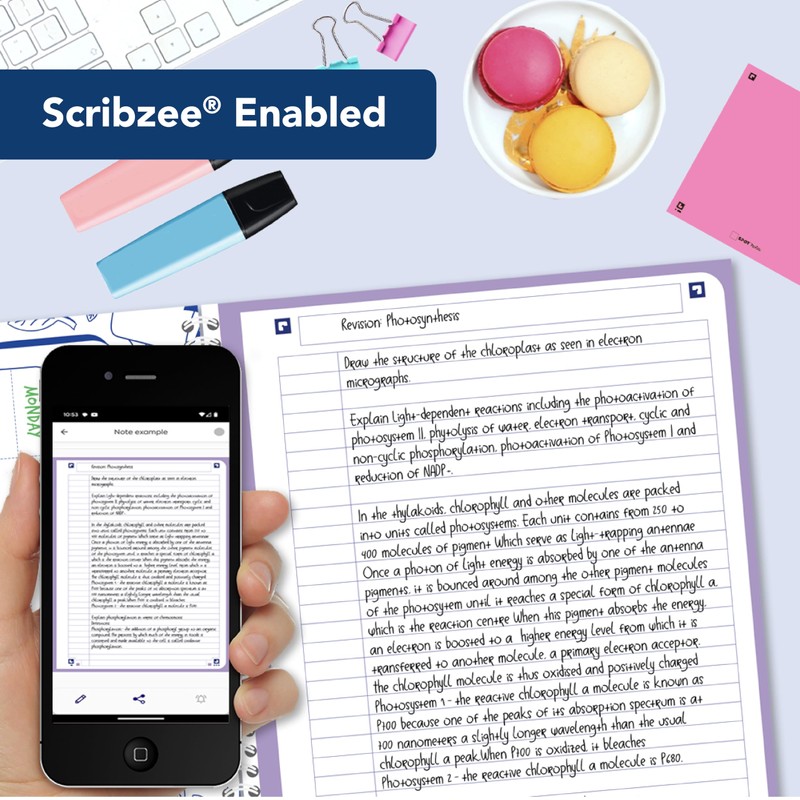 Oxford Campus A4 Lined Subject Notebook, Card Cover Wirebound, 160